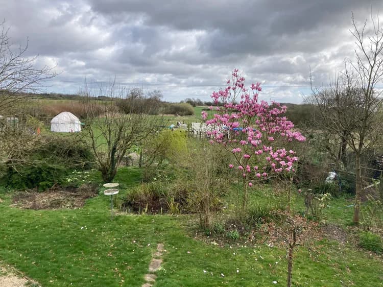 Garden at Home House