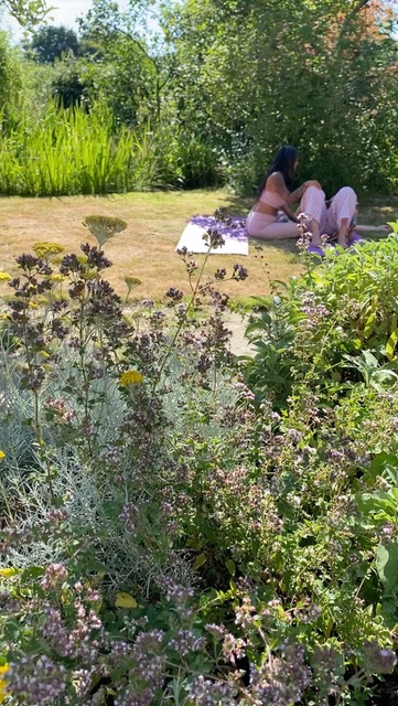 Retreat time in the garden